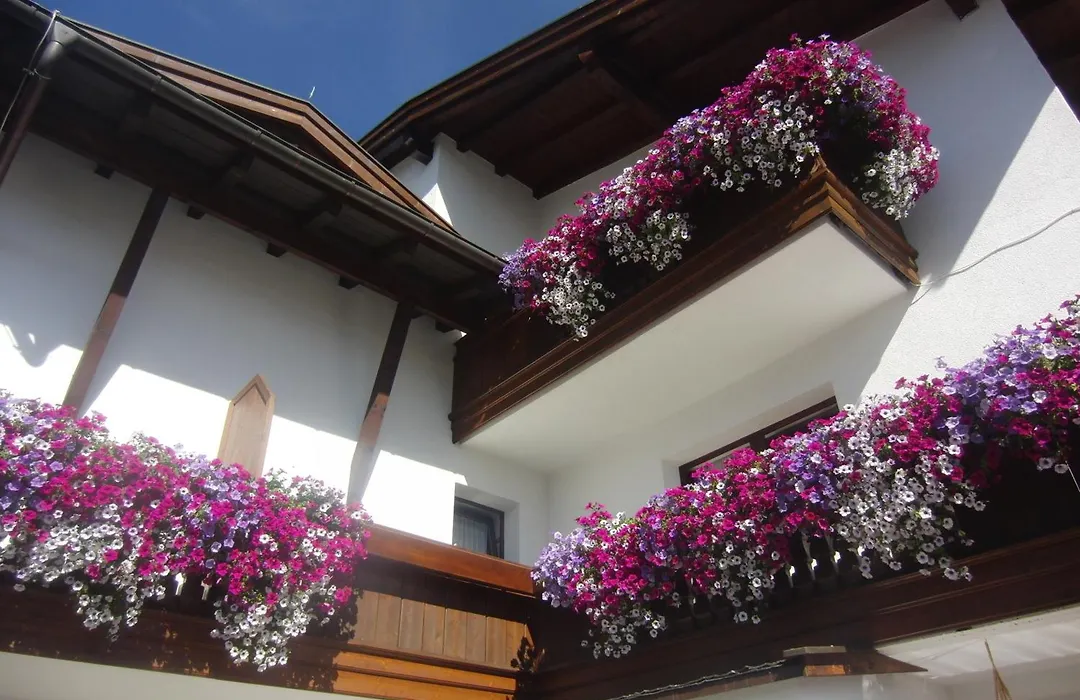 Hotel Garni Elfriede-1